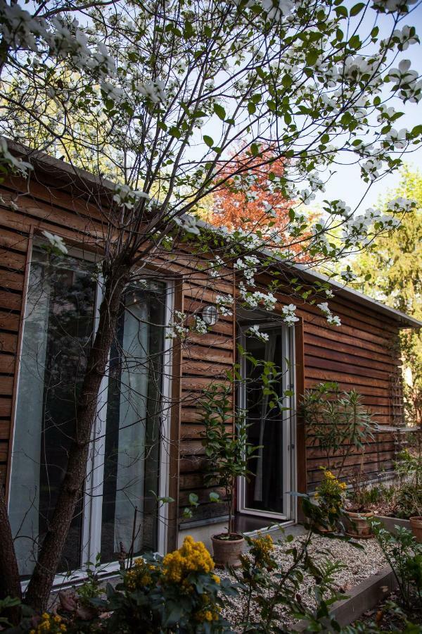 Garden-Loft Nuernberg Apartment Екстериор снимка